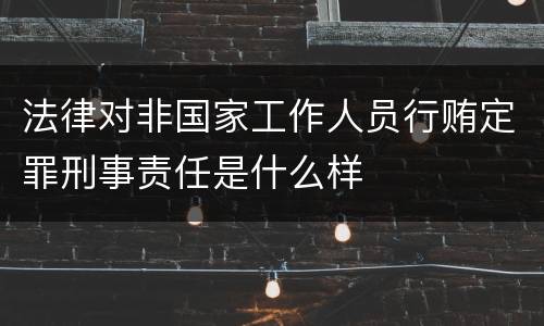 法律对非国家工作人员行贿定罪刑事责任是什么样