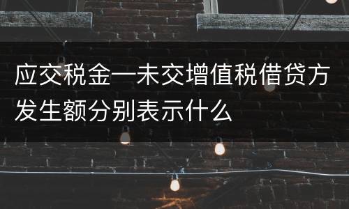 应交税金—未交增值税借贷方发生额分别表示什么