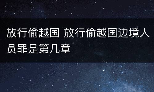 放行偷越国 放行偷越国边境人员罪是第几章
