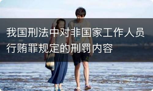 我国刑法中对非国家工作人员行贿罪规定的刑罚内容