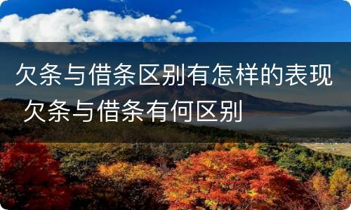 欠条与借条区别有怎样的表现 欠条与借条有何区别