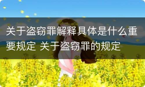 关于盗窃罪解释具体是什么重要规定 关于盗窃罪的规定