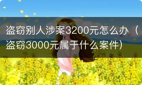盗窃别人涉案3200元怎么办（盗窃3000元属于什么案件）