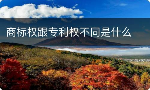 商标权跟专利权不同是什么