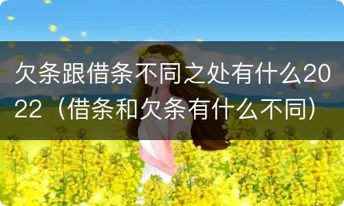 欠条跟借条不同之处有什么2022（借条和欠条有什么不同）