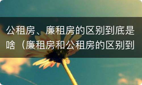 公租房、廉租房的区别到底是啥（廉租房和公租房的区别到底是什么）