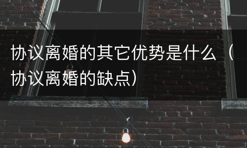 协议离婚的其它优势是什么（协议离婚的缺点）