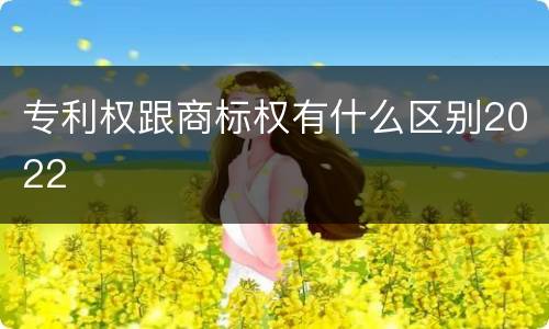 专利权跟商标权有什么区别2022