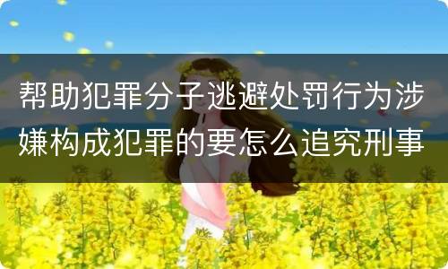 帮助犯罪分子逃避处罚行为涉嫌构成犯罪的要怎么追究刑事责任