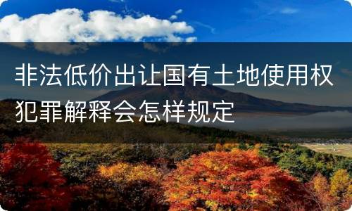 非法低价出让国有土地使用权犯罪解释会怎样规定