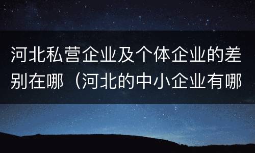 河北私营企业及个体企业的差别在哪（河北的中小企业有哪些）