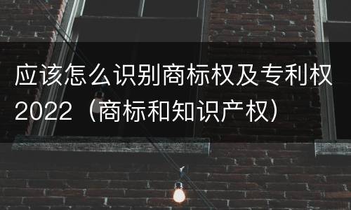 应该怎么识别商标权及专利权2022（商标和知识产权）