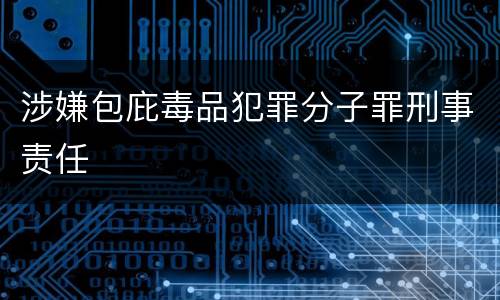 涉嫌包庇毒品犯罪分子罪刑事责任