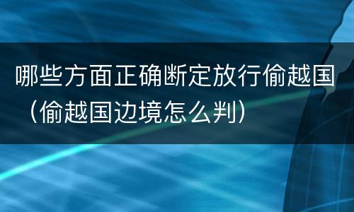 哪些方面正确断定放行偷越国（偷越国边境怎么判）