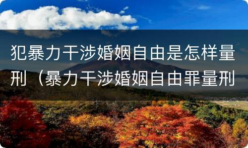犯暴力干涉婚姻自由是怎样量刑（暴力干涉婚姻自由罪量刑）