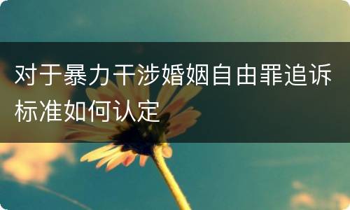 对于暴力干涉婚姻自由罪追诉标准如何认定