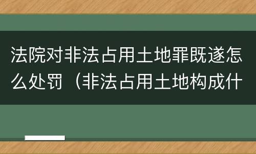 法院对非法占用土地罪既遂怎么处罚（非法占用土地构成什么罪）