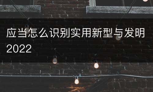 应当怎么识别实用新型与发明2022