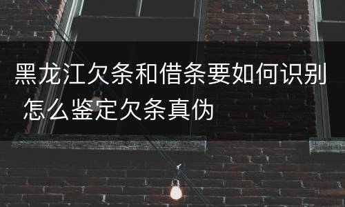 黑龙江欠条和借条要如何识别 怎么鉴定欠条真伪