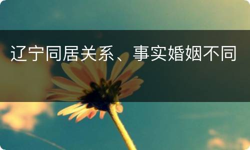 辽宁同居关系、事实婚姻不同