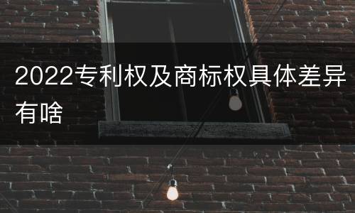 2022专利权及商标权具体差异有啥