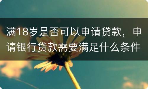 满18岁是否可以申请贷款，申请银行贷款需要满足什么条件