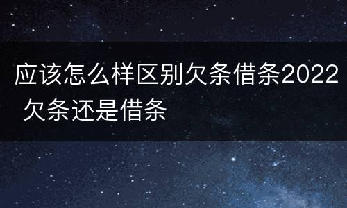 应该怎么样区别欠条借条2022 欠条还是借条