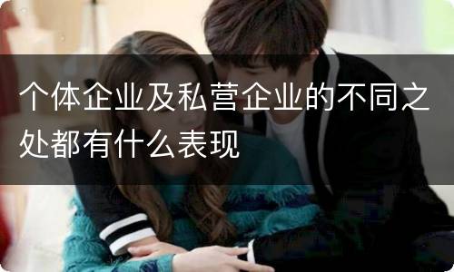 个体企业及私营企业的不同之处都有什么表现