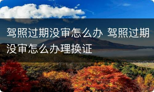 驾照过期没审怎么办 驾照过期没审怎么办理换证