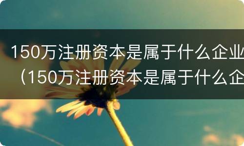 150万注册资本是属于什么企业（150万注册资本是属于什么企业的）