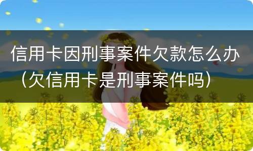 信用卡因刑事案件欠款怎么办（欠信用卡是刑事案件吗）