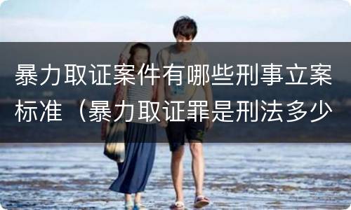 暴力取证案件有哪些刑事立案标准（暴力取证罪是刑法多少条）
