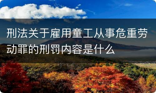刑法关于雇用童工从事危重劳动罪的刑罚内容是什么