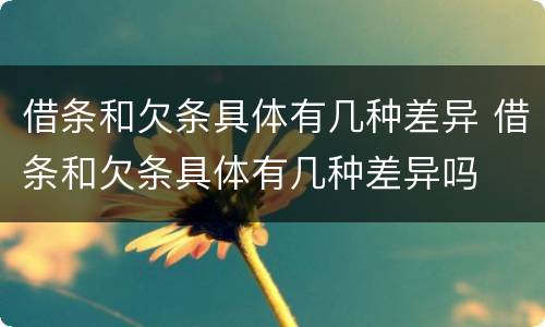 借条和欠条具体有几种差异 借条和欠条具体有几种差异吗