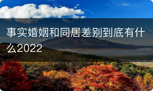 事实婚姻和同居差别到底有什么2022