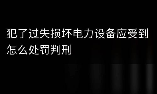 犯了过失损坏电力设备应受到怎么处罚判刑