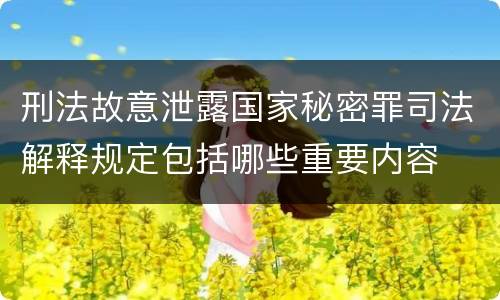 刑法故意泄露国家秘密罪司法解释规定包括哪些重要内容