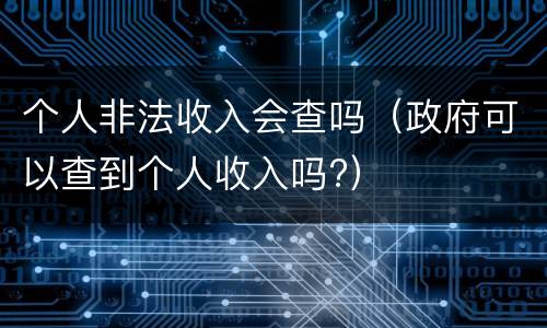 个人非法收入会查吗（政府可以查到个人收入吗?）
