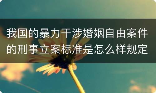 我国的暴力干涉婚姻自由案件的刑事立案标准是怎么样规定