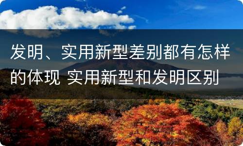 发明、实用新型差别都有怎样的体现 实用新型和发明区别
