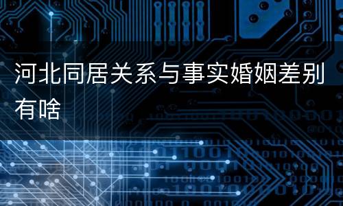 河北同居关系与事实婚姻差别有啥