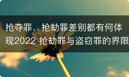 抢夺罪、抢劫罪差别都有何体现2022 抢劫罪与盗窃罪的界限