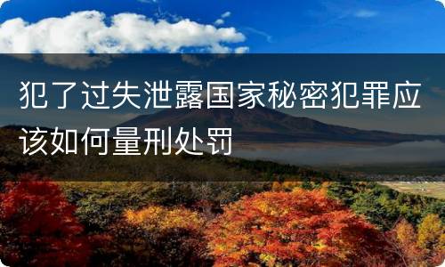 犯了过失泄露国家秘密犯罪应该如何量刑处罚