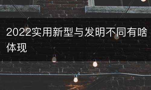 2022实用新型与发明不同有啥体现
