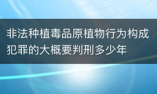 非法种植毒品原植物行为构成犯罪的大概要判刑多少年