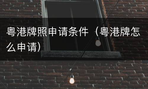 粤港牌照申请条件（粤港牌怎么申请）