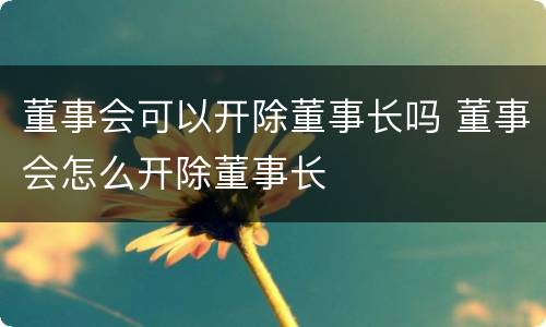 董事会可以开除董事长吗 董事会怎么开除董事长