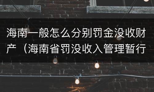 海南一般怎么分别罚金没收财产（海南省罚没收入管理暂行办法）