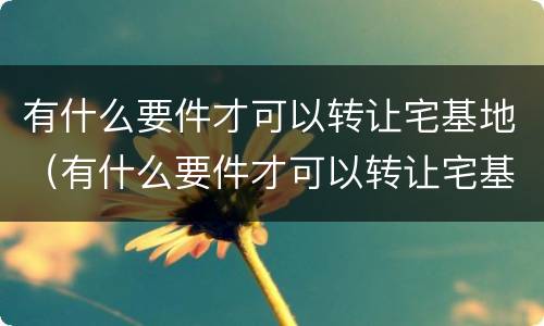 有什么要件才可以转让宅基地（有什么要件才可以转让宅基地呢）