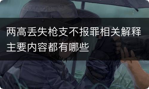 两高丢失枪支不报罪相关解释主要内容都有哪些
